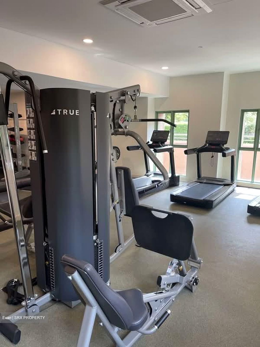 Tiara (D9), Condominium #576661841